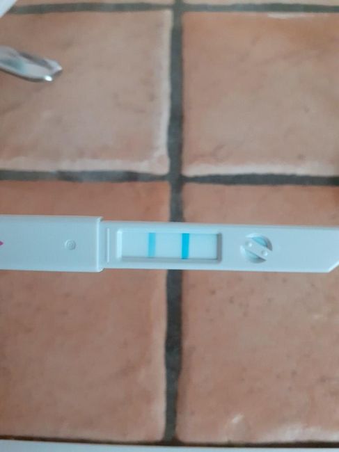 Test ovulazione 14po - 1