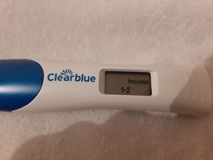 Test gravidanza 10 po positivo??? - 1