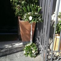 ingresso san francesco