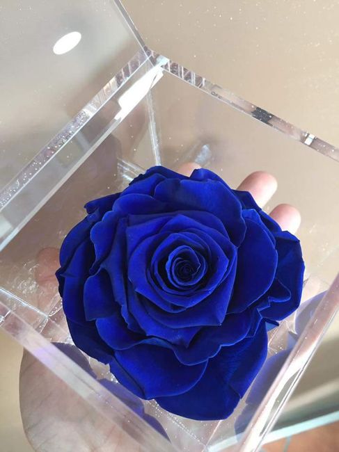 Una rosa per sempre 😍❤ - 3