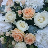 Gli "accessori"del nostro giorno! - 10