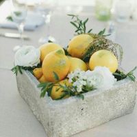 Fiori bianchi e gialli fine giugno - 2