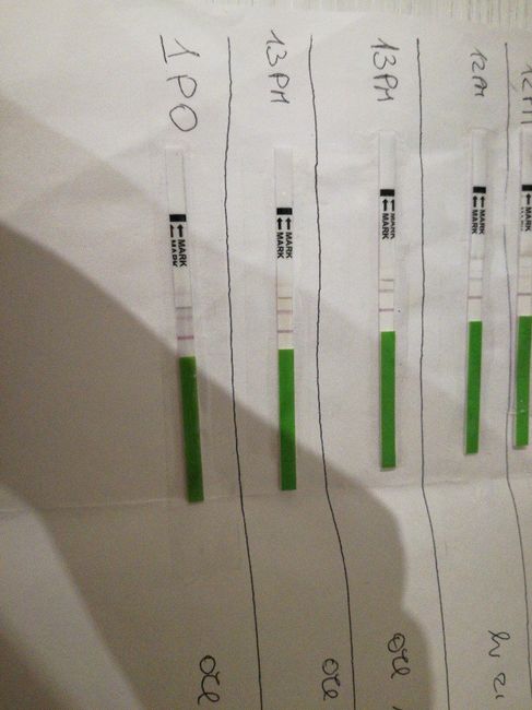Aspiranti mamme di Novembre 2018!!!🍀 2