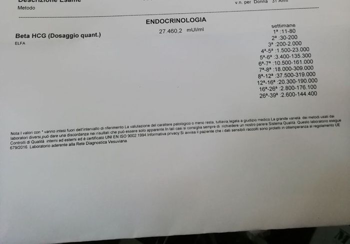 Future mamme "dicembrine" 2019 💙💗 - 2