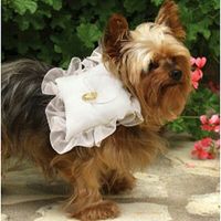 Chi vi porta le fedi? - 1