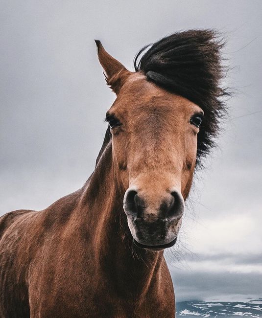 Viaggio di nozze - 2