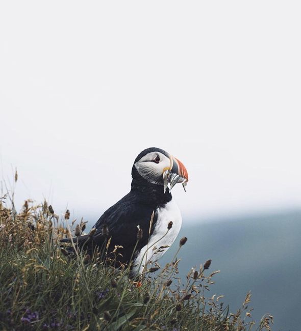 Viaggio di nozze - 6