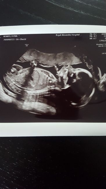 Future mamma settembre 2019 - 1