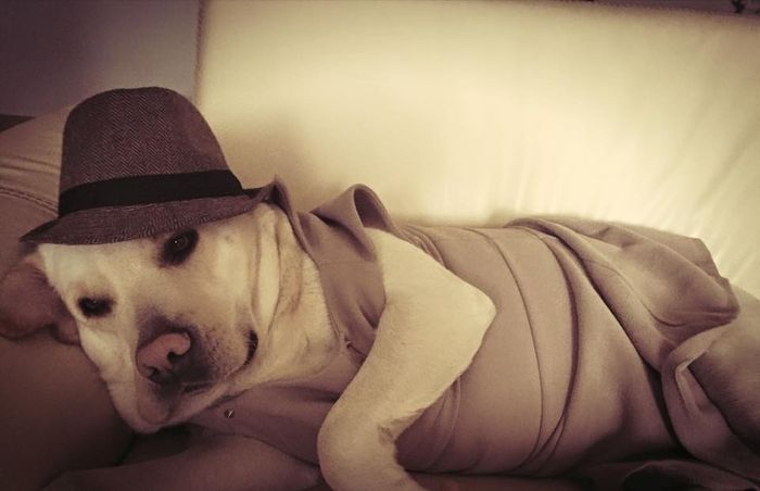 Il mio dolce amore..