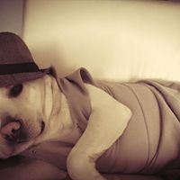 Il mio dolce amore..