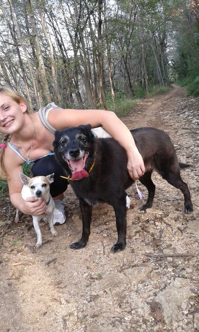 Cani sì cani no - 1