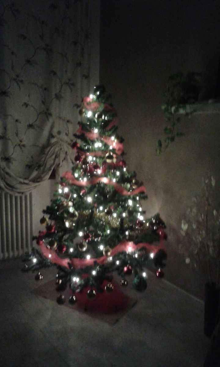 Il nostro primo albero di natale - 2
