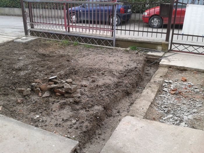 Olivo a palchi... - 2