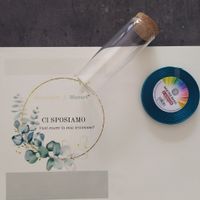 Vuoi essere la mia testimone? - 1