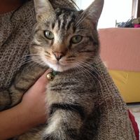 I nostri cuccioli!!! - 1