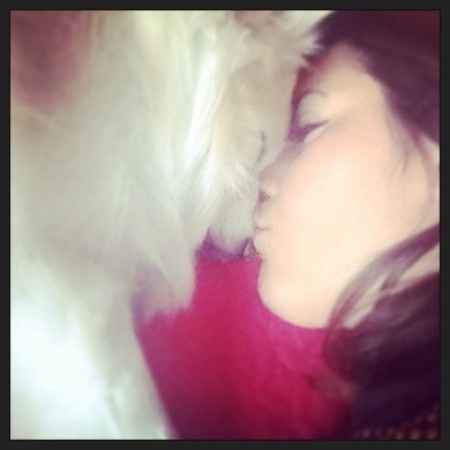 Too cute: i vostri amici animali - 1