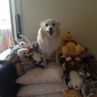 Oggi vi presento i nostri "mimmi" :) - 2