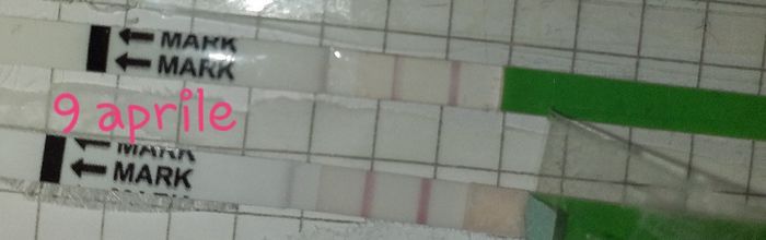 Aprile 2019 aspiranti mamme - 1