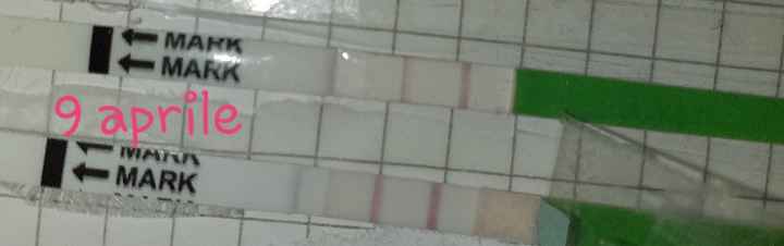 Aprile 2019 aspiranti mamme - 1