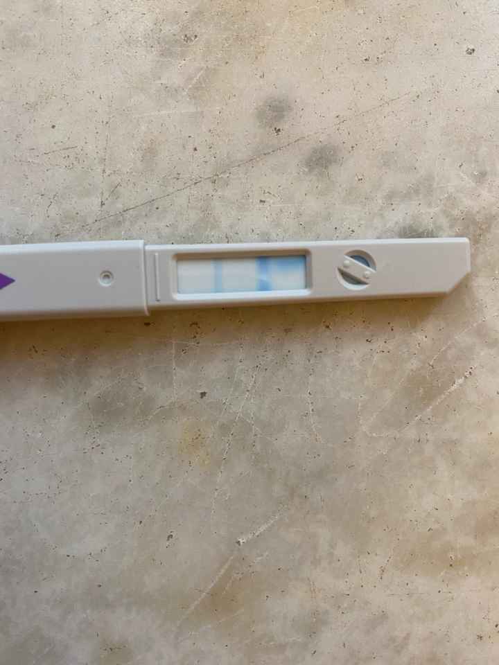 Chi non le aspetta per dicembre 2022 🤶🤶🤶 - 1