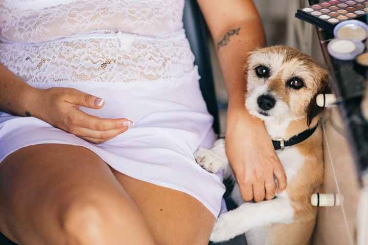 Il sogno continua... - 1