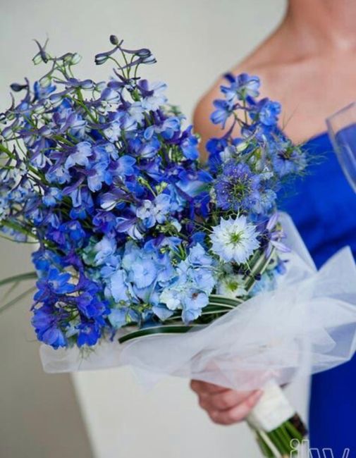 Bouquet blu: quali fiori? 2