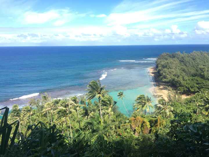 Luna di miele ad Agosto - 1