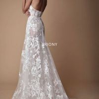 Come sarà il vostro abito ? - 2