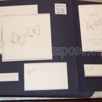 tema farfalla -rosso