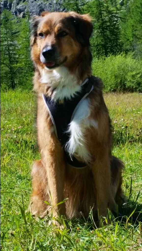I nostri cuccioli!!! - 1
