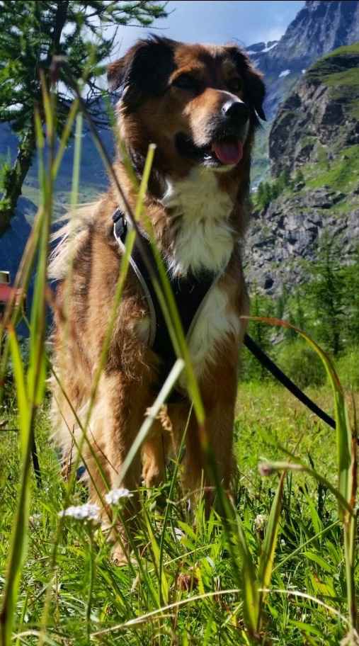 I nostri cuccioli!!! - 2
