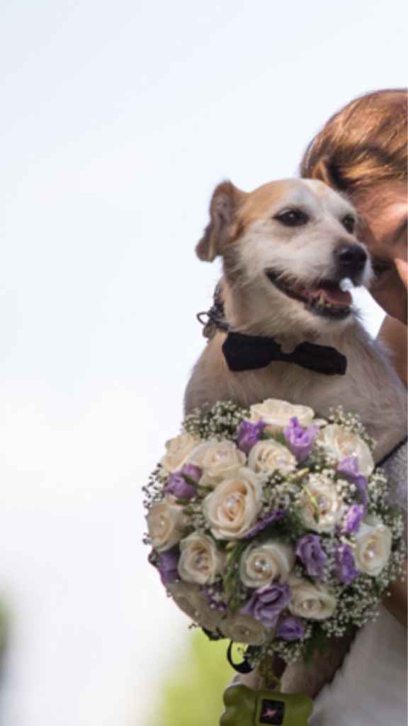 Tema cani . ecco i segnaposto ! bauuu - 1