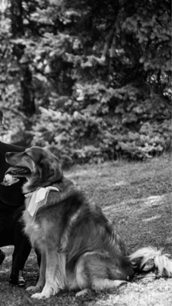 Tema cani . ecco i segnaposto ! bauuu - 2