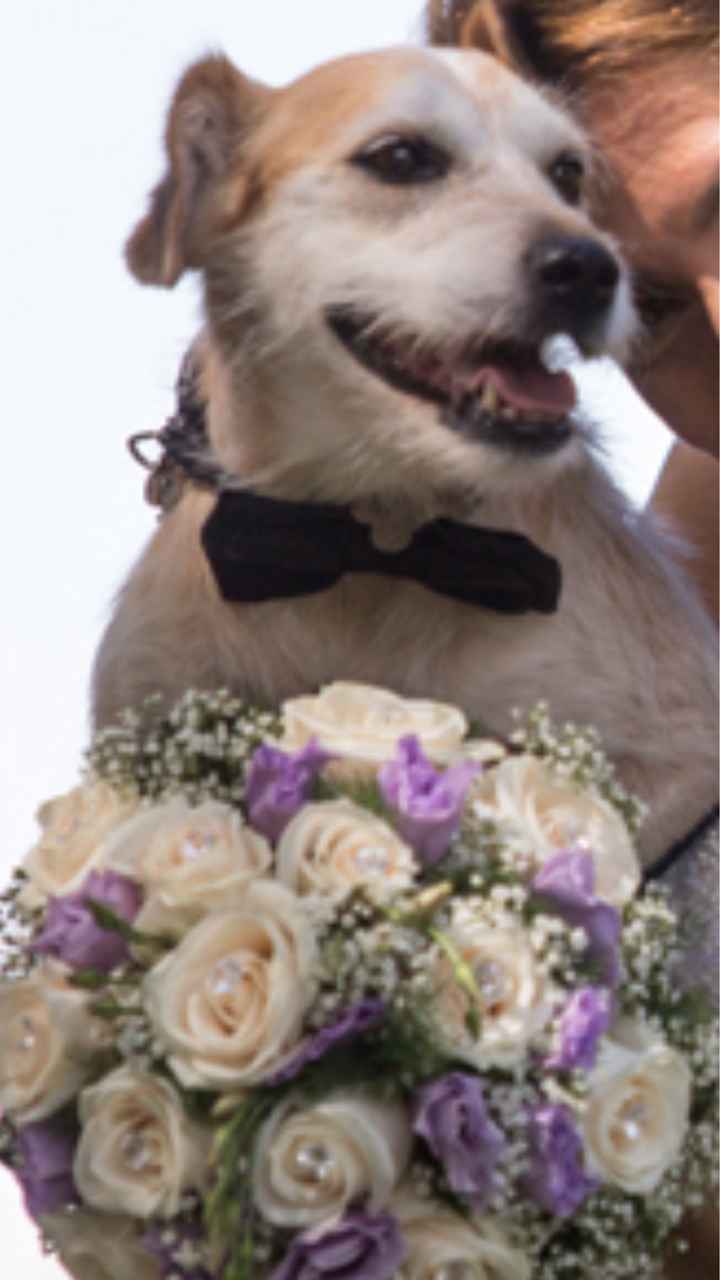  i nostri animali ♥️ - 1
