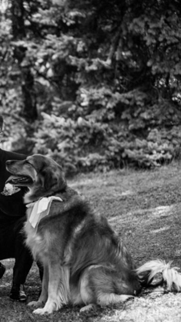 Tema cani . ecco i segnaposto ! bauuu - 2