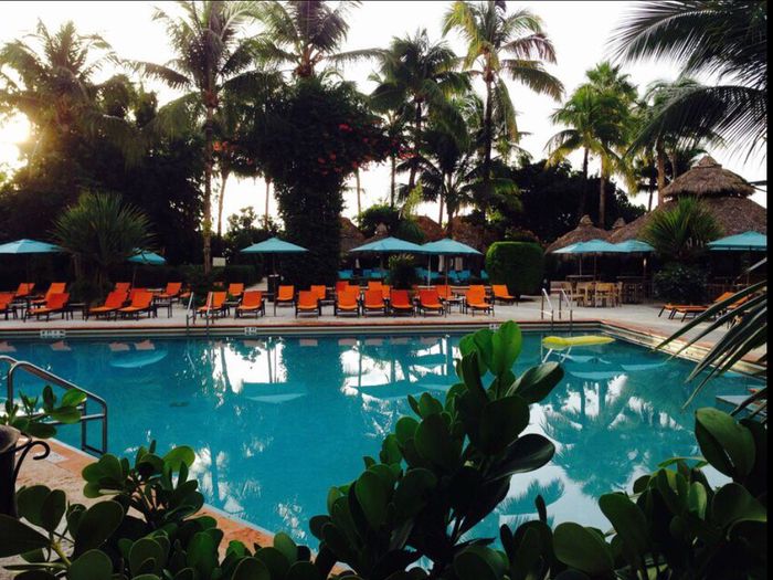 Miami beach -the palms hotel & spa - 3