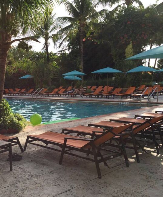 Miami beach -the palms hotel & spa - 6