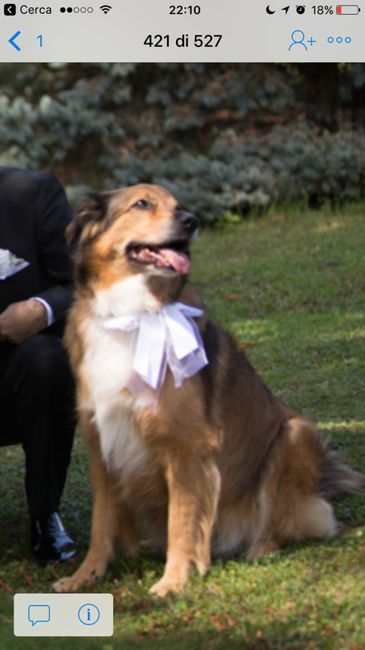  i nostri animali ♥️ - 2