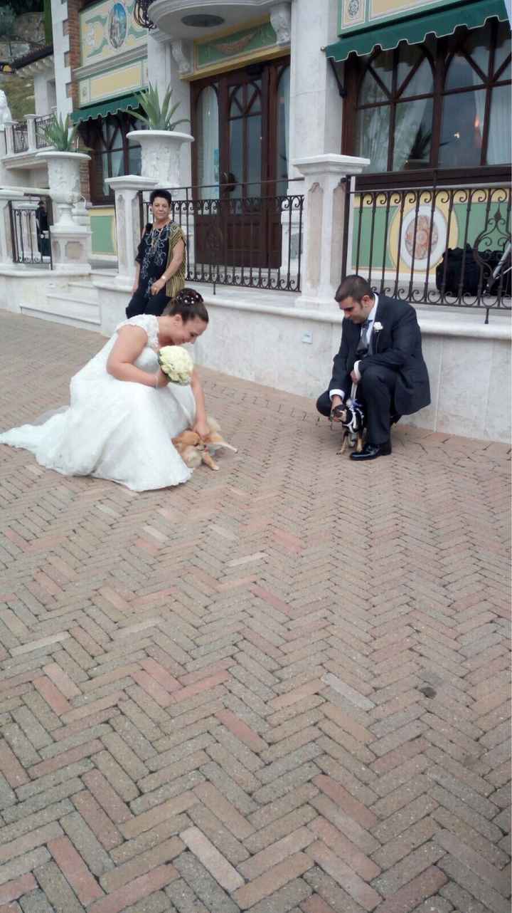  Il nostro giorno 9/9/17 - 5