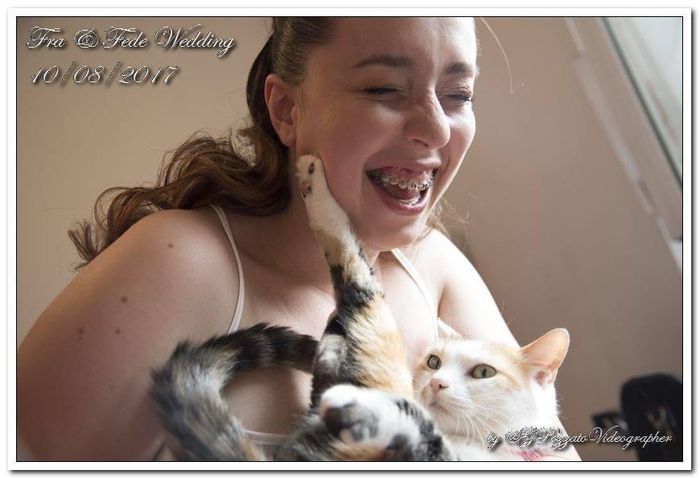 I gatti, i preparativi e il matrimonio: fateci vedere le loro foto! 📸 5