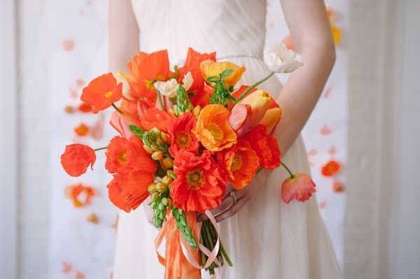 Bouquet di papaveri