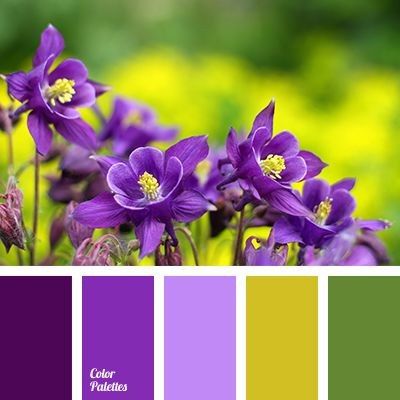 Palette