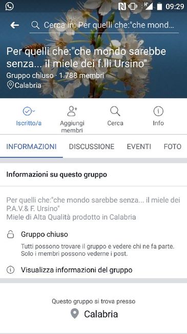  Miele per bomboniere e segnaposti - 1