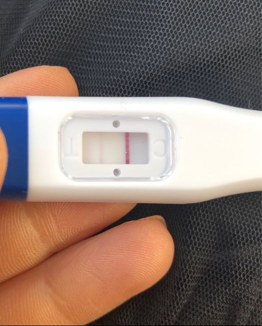 Canadese gravidanza: ghost Line o positivo??? 3