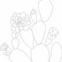 Farete il tableau de mariage? - 1