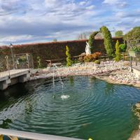 Quale angolo per il taglio della torta preferisci? - 1