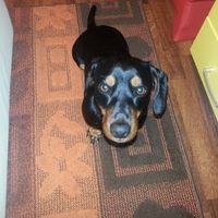 Oggi vi presento i nostri "mimmi" :) - 1