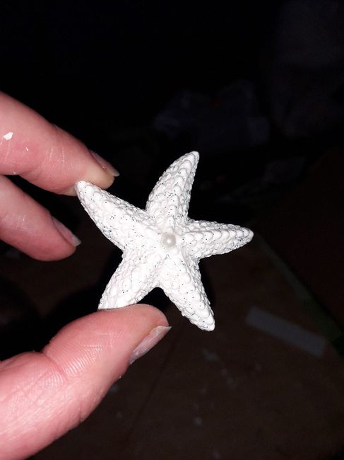 Ottimo lucido per gessetti 4