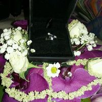 La foto del vostro anello! - 2