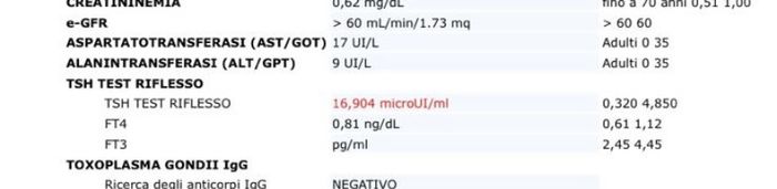Eutirox con integratore di ferro si può???? - 1